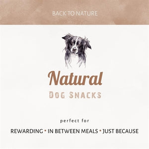 Antos Bullepeespuntjes