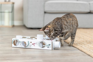 Trixie Cat Activity Paws'n'treats Box Karton