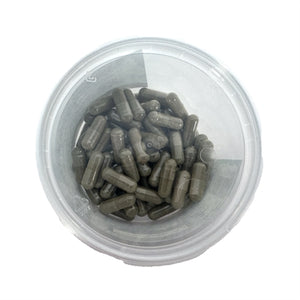 Dierendrogist Resoptie Van Vruchtjes Foetale Resorptie