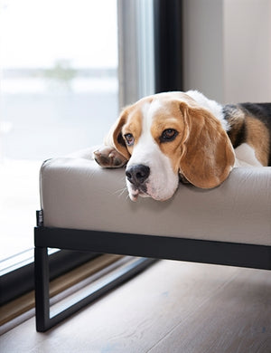 Bia Air Frame Voor Bia Bed Zwart