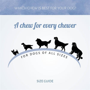 Antos Mini Bones Pens